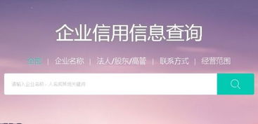 芝麻信用企業(yè)信用查詢(xún)與信息咨詢(xún)服務(wù)詳解