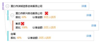 營口市濱城信息咨詢服務(wù)公司 專業(yè)信息咨詢，賦能濱城發(fā)展